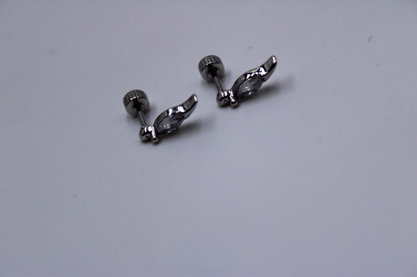 Pendientes Par Rosca Acero Inoxidable "Dino"