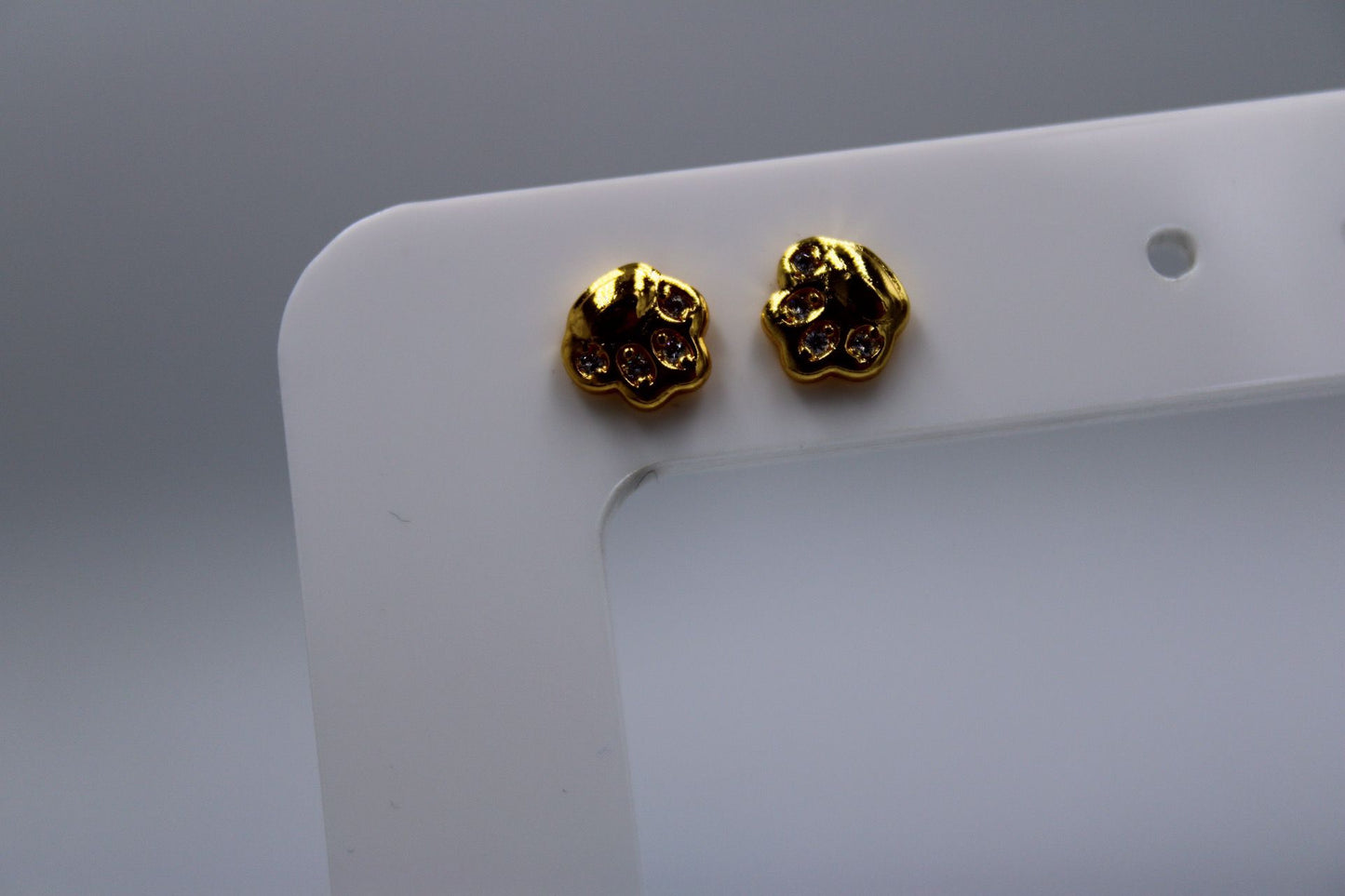 Par Pendientes Rosca Acero Inoxidable "Dog "