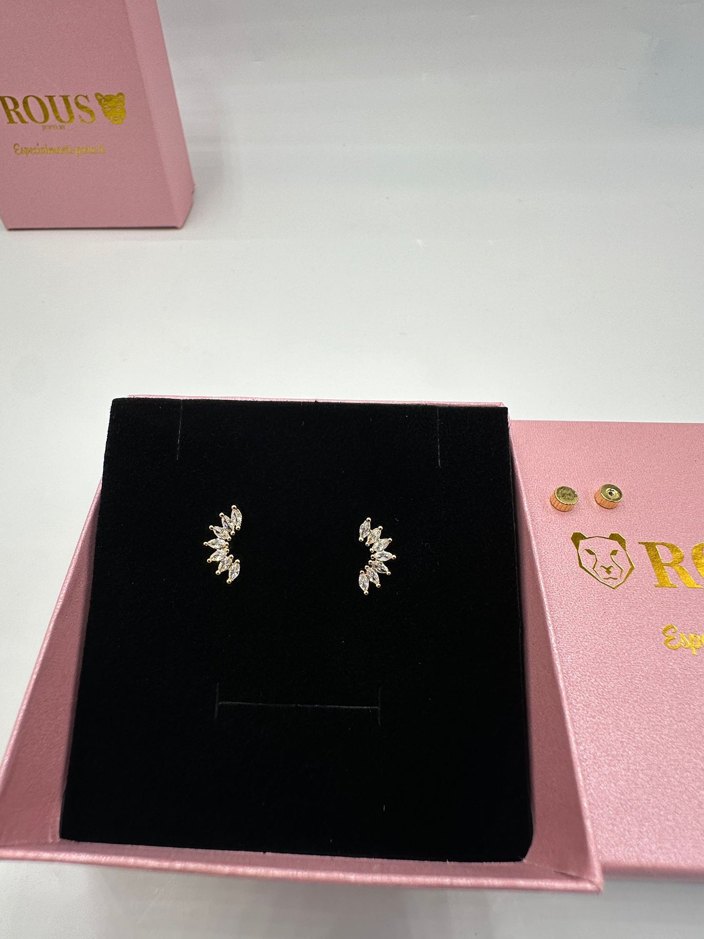 Par Pendientes Trepadores
